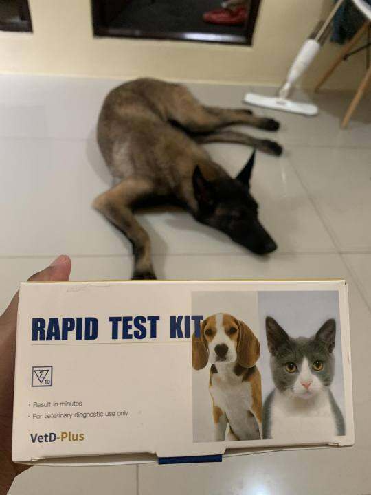 2 in 1 Distemper and Parvo Test Kits Lazada PH