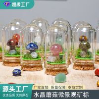 [COD] crystal raw stone mushroom micro-landscape ore specimen childrens popular science festival gift home decoration