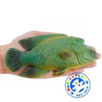 Munich Play - โมเดล Humphead Wrasse ปลานกขุนทอง เขียว ขนาด 16.30 CM (จากหาดใหญ่)