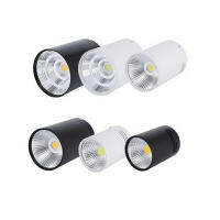 พื้นผิวติดตั้งดาวน์ไลท์ Led รอบไฟ Led โคมไฟสปอตไลท์ซังเพดาน AC220V 90-260โวลต์ห้องครัวห้องนอนโคมไฟ Homekit Bulb