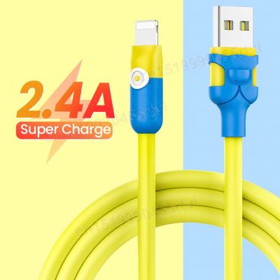 Chaunceybi USB Cable for iPhone 15 14 13 12 Xs X 8 2.4A Fast Charging Charger Data 2m