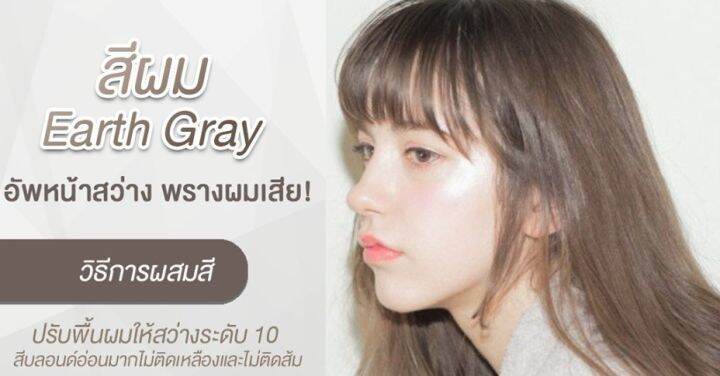 set-berina-เบอริน่า-เซตสีผม-2-กล่อง-earth-gray-สีน้ำตาลโทนน้ำตาลสว่าง-a38-a21