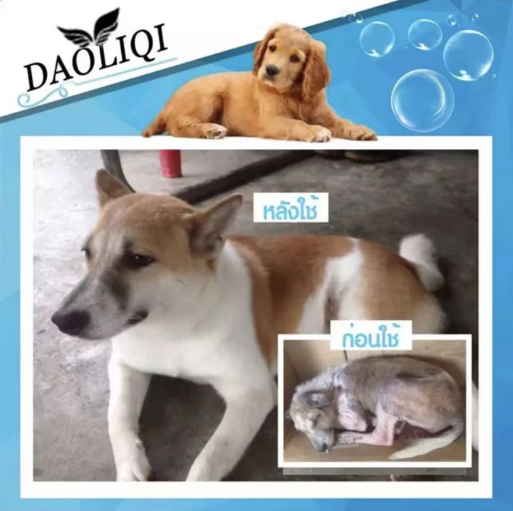 daoliqi-แชมพูหมา-510mlแชมพูสุนัข-แชมพูแมว-แก้อาการคันและขนร่วง-แชมพูสุนัขหอมๆ-แชมพูอาบน้ำสุนัข-แชมพูอาบน้ำแมว-อาบน้ำแมว-สบู่อาบน้ำแมว-ครีมอาบน้ำแมว-แชมพูอาบน้ำหมา-น้ำยาอาบน้ำแมว-ปัญหาโรคเรื้อน-โรคผิวห