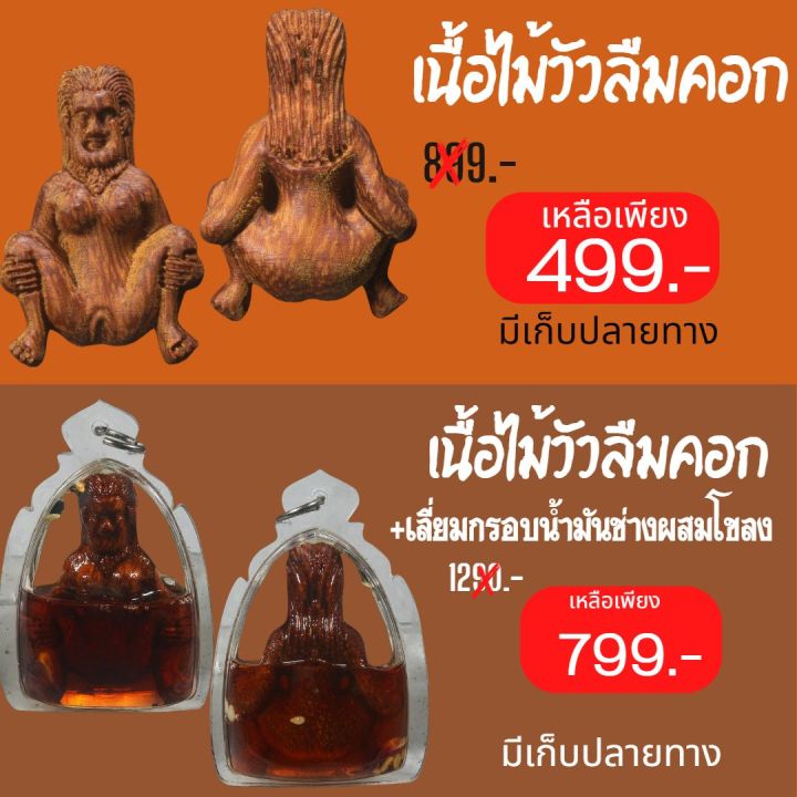 แม่เป๋อเนื้อไม้วัวลืมคอก