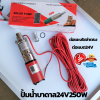 ปั๊มน้ำซับเมอร์ ปั๊มจุ่ม ปั๊มแช่ ไดโว่ Solar DC 24V 250W แผงโซลาร์ขับตรง ดูดน้ำขัง รุ่น 3LSPS24 สายไฟยาว 15เมตร