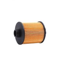 1612565980 9807989080 Oil Filter For Citroen C3 C4 C5 AIRCROSS C6 DS5 For Peugeot 2008 3008 4008 5008 408 508 1.6THP