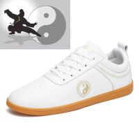 Mens and Womens Professional Chinese Martial Arts Taiji Shoes Karate Martial Arts Sports Shoes Mens Taekwondo Shoes