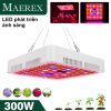 Maerex 300w 100 led 3030 smd trồng cây ánh sáng thủy canh toàn phổ trong - ảnh sản phẩm 1