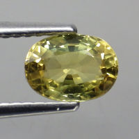 พลอย แซฟไฟร์ บุษราคัม แท้ ธรรมชาติ ( Natural Yellow Sapphire ) 1.38 กะรัต