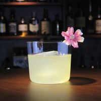 Japanese-style ultra-thin whiskey glass thin-bottomed cocktail classical bartending spirits large ice hockey wine glass