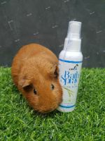 สเปร์ยอาบน้ำแห้ง Petme Bath Spray กลิ่นน้ำนมข้าว สำหรับสัตว์เลี้ยงทุกชนิด (กลิ่นน้ำนมข้าว)