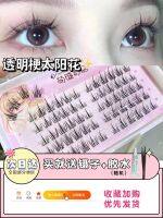 ? ? In stock cute eyelashes Shangpin sunflower false eyelashes lazy trilogy female transparent stalk seamless grafted eyelashes natural