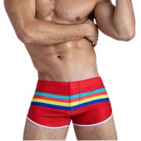 Sexy Stripes Men Swimwear Swimsuit Man Mens Swimming Trunks Shorts Push Up Pad Mens Swim Briefs Beach Surf Bathing Suit Swimwear