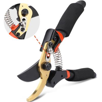 AIRAJ Micro-Tip Pruning Snip and Professional Premium Titanium Bypass Pruning Shears Hand Pruners Garden Clippers