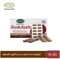 ดร.สุรพล สารสกัดจากเห็ดหลินจือ 250 มก. Reishi สมุนไพรสำหรับผู้ป่วยเบาหวาน บำรุงร่างกาย สมุนไพรเสริมภูมิ ภูมิแพ้ อาการไอ จาม บำรุ