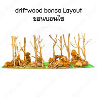 driftwood bonsa Layout ขอนบอนไซสำหรับตั้งตู้ไม้น้ำ ตกแต่งตู้ ขอนไม้ Bonsai ตู้ไม้น้ำ ตู้ปลาพรรณไม้น้ำ บอนไซ ราคาต่อ1แผ่น