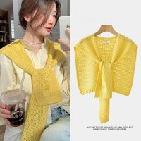 Hot sell Outside the fashion knitted shawl LvKong tank top office air conditioning room to protect cervical vertebra take shoulder scarf female