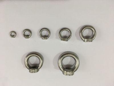 10pcs M5 304 Stainless Steel Eye Nut Marine Lifting Lug Eyenut Ring Nut Loop Hole for Cable Rope Lifting