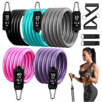 【CW】 Resistance Bands Set Training Exercise Expander Elastic Gym for Workout