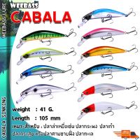 FS อุปกรณ์ตกปลา   เหยื่อปลอม WEEBASS (เหยื่อปลั๊ก) - รุ่น CABALA SINKING 105 mm. / 41 g. ตกปลา