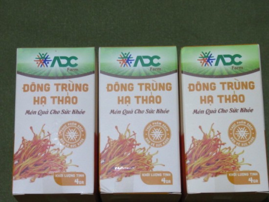 Nấm đông trùng hạ thảo sấy khô adc - ảnh sản phẩm 4