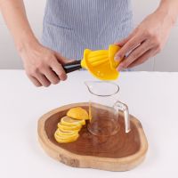 Lemon Squeezers 4 In 1 Citrus Squeezer Hand Press Professional Stainless Steel Lemon Lime Orange Juicer Fruit Manual Squeezer Specialty Kitchen Tools