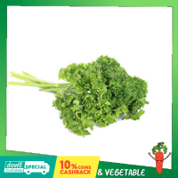 พาสลีย์ ใบหยิก พาร์สเล่ Parsley