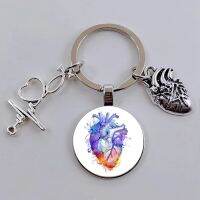 【CW】๑  Anatomy Human Organs Stethoscope Picture Medical Keychain Jewelry