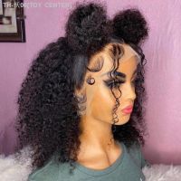 Soft 180 Density 26Inch NaturalShort Bob Kinky Curly Lace Front Wig For Women With Baby Hair Heat Resistant Fiber Hair Daily Wig [ Hot sell ] TOY CENTER