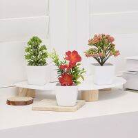 【CC】 1SET Decoration-3 Small Potted Simulated Plants-Cute-23324ZH3