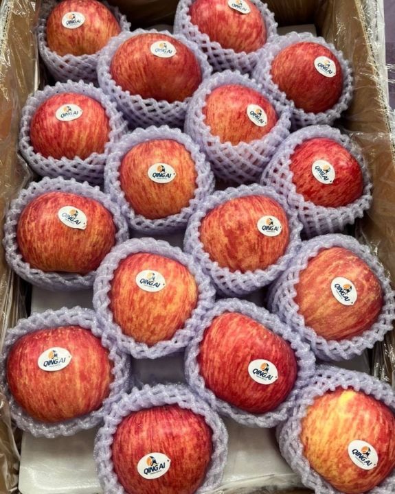 แอปเปิ้ล-ฟูจิ-แกนน้ำผึ้ง-ตรานกแก้ว-24-28-ลูก