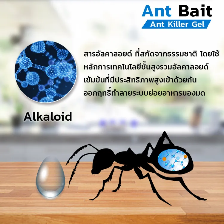 Ant Bait กำจัดมด เจลกำจัดมด เหยื่อกำจัดมด เหยื่อมด เหยื่อล่อมด เจลมด  เหยื่อฆ่ามด ยาฆ่ามด | Lazada.Co.Th