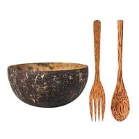 Coconut Bowl Decoration Fruit Salad Noodle Rice Bowl Wooden Fruit Bowl Handicraft Decoration Creative Coconut Shell Bowl