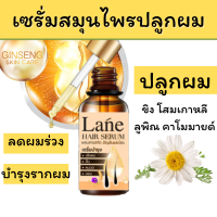 Lane เซรั่มปลูกผม ปลูกผม น้ำยาปลูกผม ลดผมร่วง ลดผมหงอก สูตรโสม ขิง อัญชัน hair growth serum  (1 ขวด )