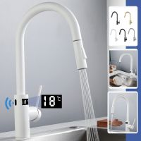 Kitchen Infrared Intelligent Faucet Stainless Steel Touchless Faucet Frap Kitchen Faucet Extendable Temperature Smart Water Tap