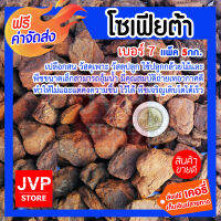 **ส่งฟรี**โซเฟียต้า เปลือกสน  เบอร์ 7 มีให้เลือกแพ็ค 1-23กก (Planting material) วัสดุเพาะ วัสดุปลูก นำเข้าจากนิวซีแลนด์ ใช้ปลูกกล้วยไม้และพืชขนาดเล็ก สามารถอุ้มน้ำและยังมีคุณสมบัติถ่ายเทอากาศได้สูง ทำให้ไม่แฉะแต่คงความชื้นไว้ได้ พืชเจริญเติบโตได้เร็ว