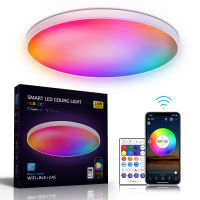 30W RGB+CCT Smart Ceiling Light Flush Mount Dimmable Color WIFI Ceiling Lamps Indoor Lighting Remote Control LED Ceiling Lights