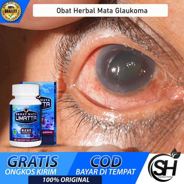 Obat Herbal Mata Glaukoma, Glukoma Sudut Terbuka, Glaukoma Sudut ...