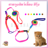 BJ Pet - สายจูงสัตว์เลี้ยง สีรุ้ง สายหนา สายจูงหมา สายจูงแมว สำหรับสัตว์เลี้ยง