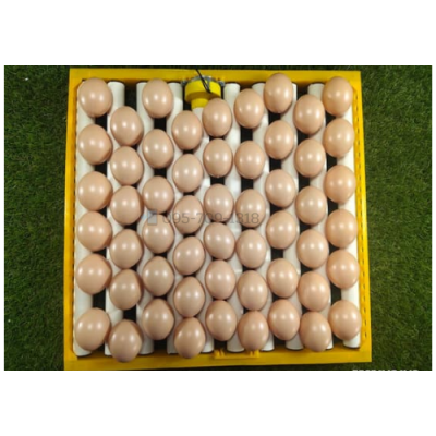 ชุดถาดกลับไข่อัตโนมัติ แบบถาดกลิ้ง ใช้กับตู้ 56ฟอง ฟักไข่ห่านได้
