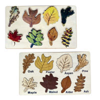Children Montessori Nordic Style Painting Puzzle Toys Wooden Set Leaf Jigsaw Drawing Board Games Educational Cognition Toys Gift
