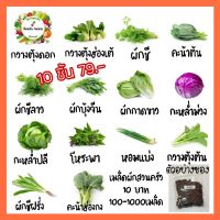 สินค้าแนะนำ? ชุดที่ 2 เมล็ดผักสวนครัว กินใบ งอกง่าย สามารถปลูกได้ทั้งแบบลงดิน ไฮโดรโปนิกส์ ระบบน้ำนิ่ง เมล็ดผัก มีเคล็ดลับการเพาะให้