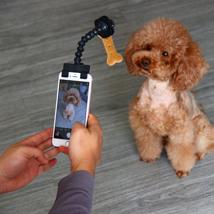 hot-selfie-stick-สำหรับสุนัข-cat-เครื่องมือถ่ายภาพ-interaction-ของเล่น-concentrate-อุปกรณ์การฝึกอบรมสุนัขอุปกรณ์เสริม-drop-shipping