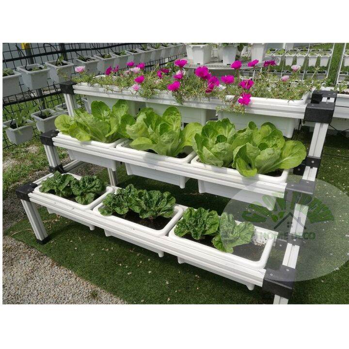Malaysia Original Stock GFE Diamter 36cm SPECIAL DESIGN PLANTER BOX