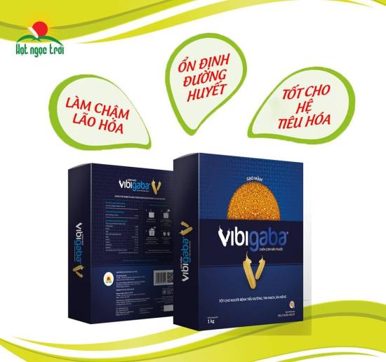 Hcmgạo mầm vibigaba - tốt cho người tiêu hóa tiểu đường - hộp 1kg - ảnh sản phẩm 3