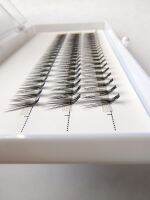 60 Clusters Lashtray For Makeup 10D 20D L curl Individual Eyelashes Bunches Professional Makeupartist Faux Lashtray