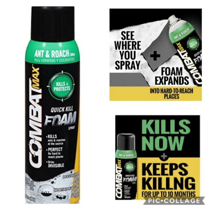 rat killer poison pellet Combat Max Ant Roach Killer Quick Kill Foam