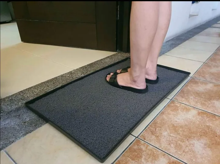 Sanitizing/Disinfectant Mat with 500 grams solutions Lazada PH