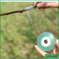 Hanak เทปพันกิ่ง2ซม. * 100ม. มีกาวในตัวสำหรับต้นกล้าต้นไม้สวน