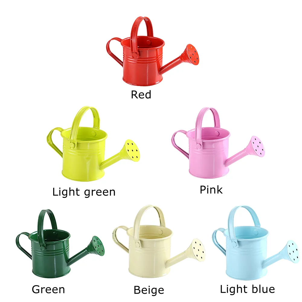 Mini Metal Small Water Spraying Pot Garden Flower Kettle Watering Can Sprinkled